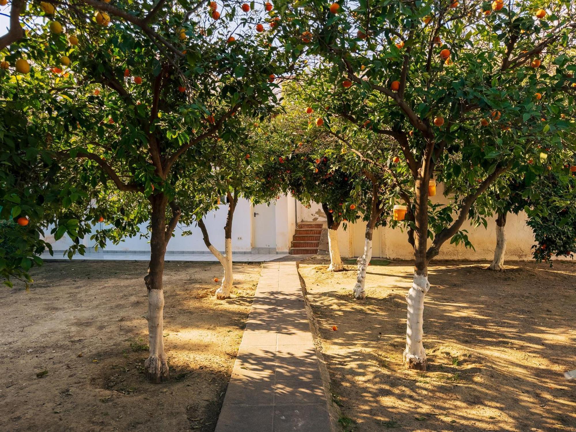 Charming Country House Торемолинос Екстериор снимка